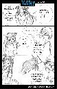 ../yoshxbyy/20040603-83x128.jpg.