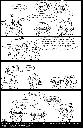 ../yoshxbyy/20060801-83x128.jpg.