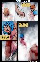 ../yoshxbyy/20120203-83x128.jpg.